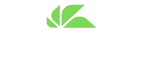 dlt-logo